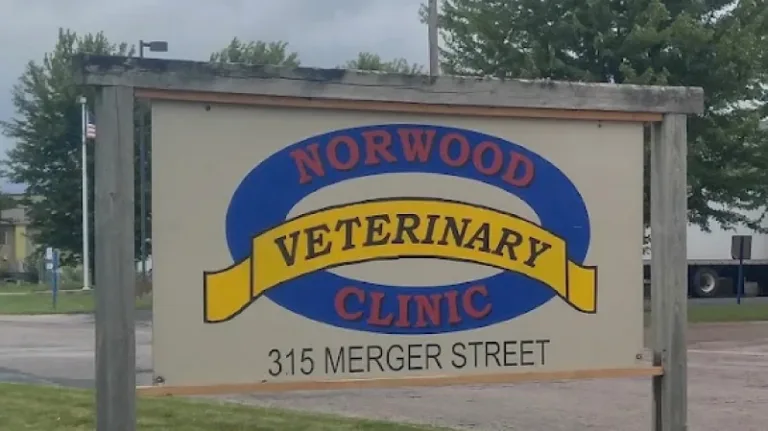 Norwood Vet 768x431